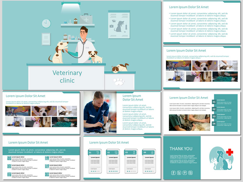 Veterinary Templates Free